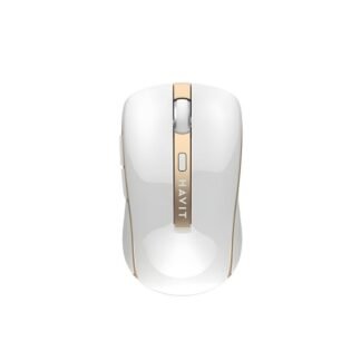 Havit HV-MS951GT Wireless Mouse (White)